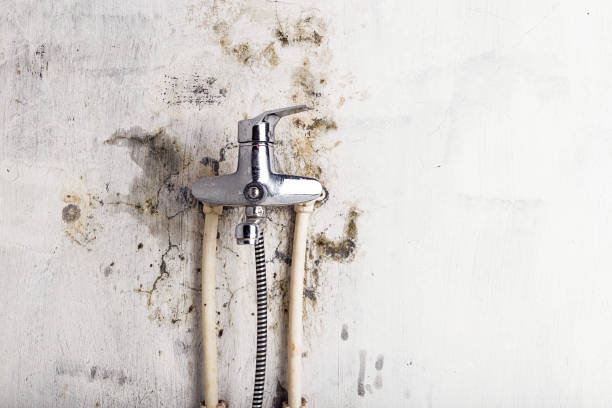 Best Affordable Mold Removal  in Intercourse, PA